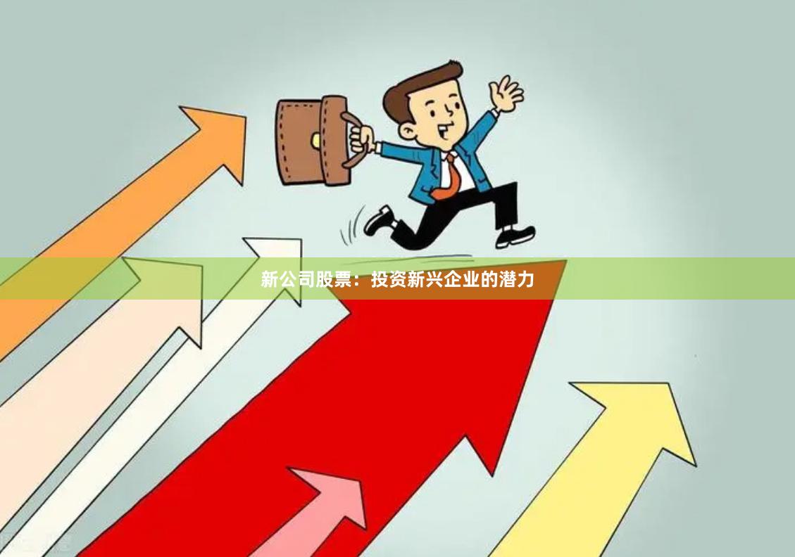 新公司股票：投资新兴企业的潜力