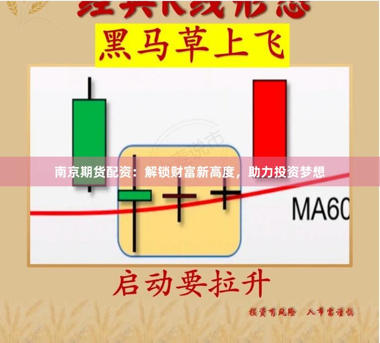 南京期货配资：解锁财富新高度，助力投资梦想